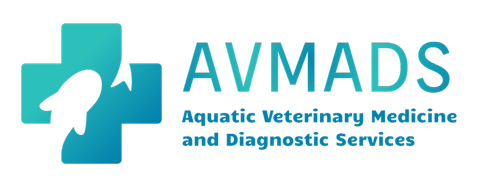 avmads logo